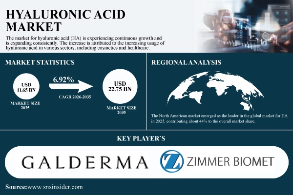 Hyaluronic Acid Market Size to Hit USD 22.75 Billion by 2035, at a CAGR of 6.92% - SNS Insider