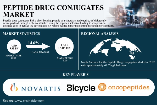 Peptide Drug Conjugates Market Size to Hit USD 15.05 Billion by 2035 at a CAGR of 14.6% - SNS Insider