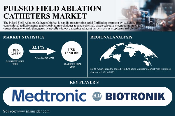 Pulsed Field Ablation Catheters Market Size to Soar to USD 15.50 Billion by 2035 at a CAGR of 32.1% - SNS Insider